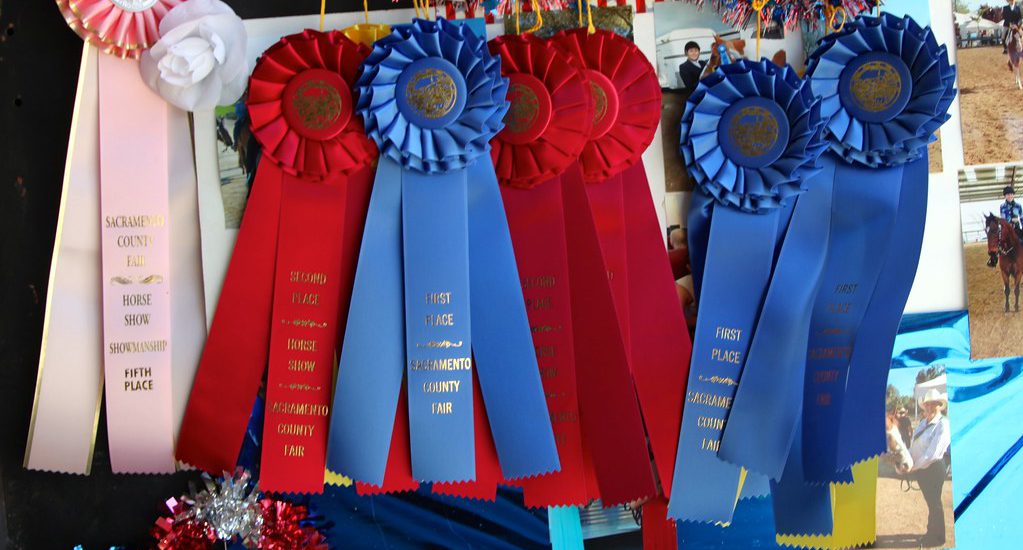 Ribbons from the state fair. I wish they gave these out for product quality; we surely would have won a few.